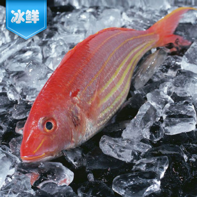 ʽ400g/
