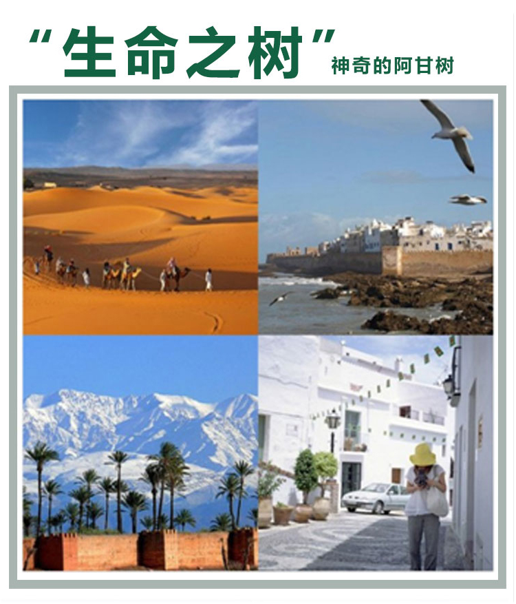 中国台湾地区进口 auqanese 阿甘油 100ml 保湿 抗皱