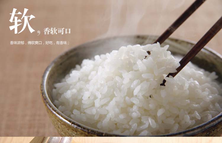 十月稻田 五常稻花香大米 0.5公斤/袋