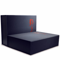 滇然堂 安岳原味柠檬片35g泡茶 水果干片罐装