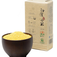 e农春天 任小米 内蒙古阿拉善沙漠节水黄小米